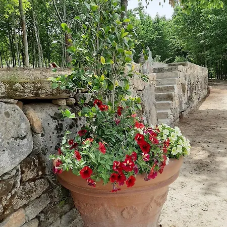 Casa Rosas