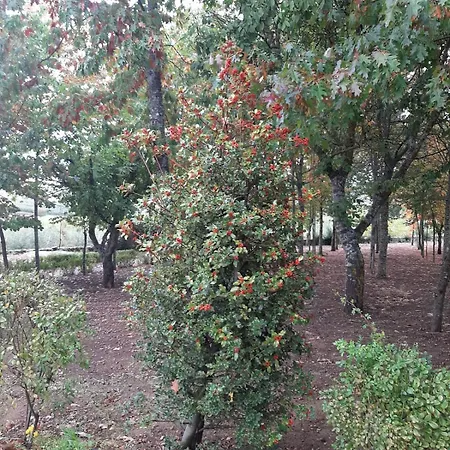 Σπίτι διακοπών Casa Rosas *
