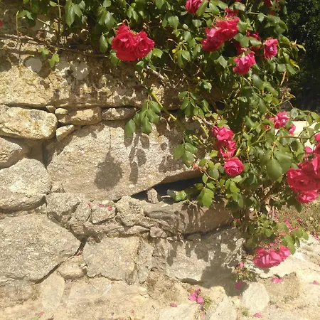 Σπίτι διακοπών Casa Rosas