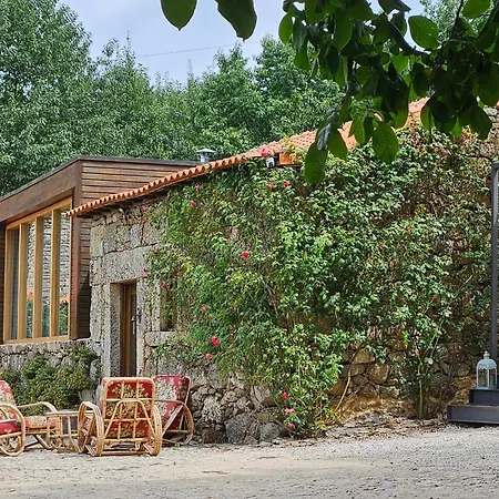 Casa Rosas *