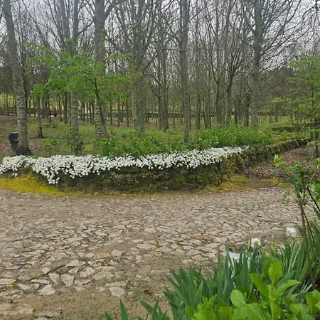 Σπίτι διακοπών Casa Rosas Cimbres